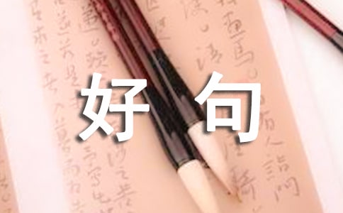 值得珍藏的好句子