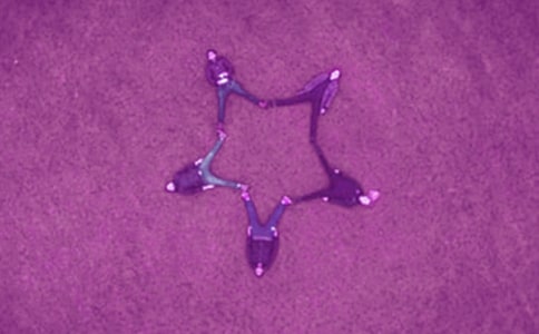 �ҵĺ������ľ��x15ƪ