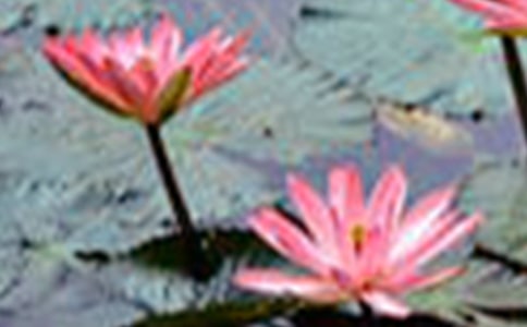 �����ĺɻ������ľ��x��15ƪ��