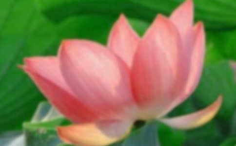 ӳ�պɻ��e�Ӽt����