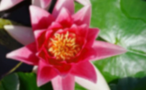 �茑�ɻ��ľ��Ӿ��A[15ƪ]