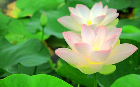 ���ɻ������̲ķ����c�̌W(xu��)�O(sh��)Ӌ