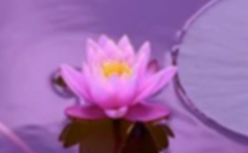 ������I(y��)�ڄ��P(gu��n)ϵ�[�n�c���C�ڄ��P(gu��n)ϵ��(g��u)��