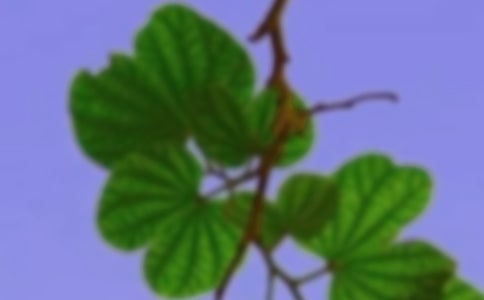 ���O(sh��)���C�༉�Ļ� ���M�W(xu��)���������L