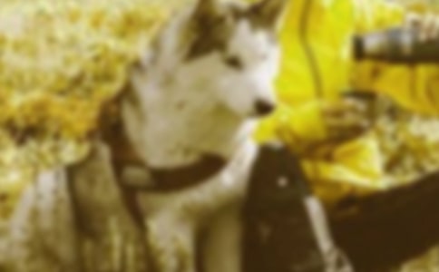 Ŭ����(g��u)��������x���C���