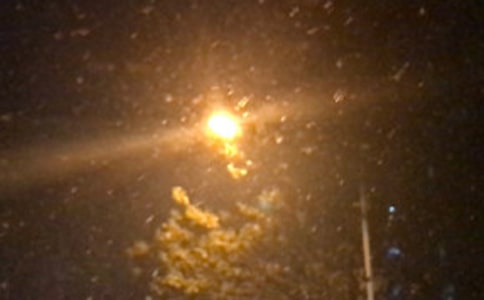 �茑�����ҹ�ľ���