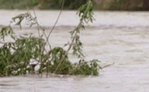 �L����ˮ�c���B(t��i)���O(sh��)