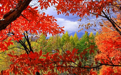 ����ɽ�t�~���̌W(xu��)�O(sh��)Ӌ(j��)