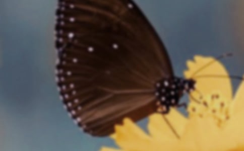 ����׃�ɺ�������