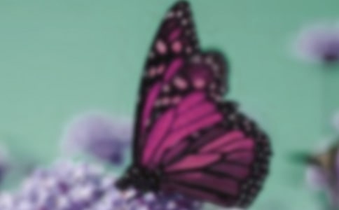 ���x�����������\��5ƪ