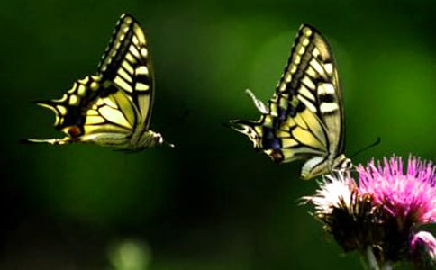 ����������������g(sh��)�̰�