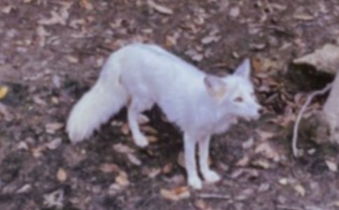 ��؂Ո(q��ng)������