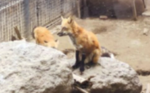 ����؂�͞��f����(y��u)�|(zh��)�n�̰�