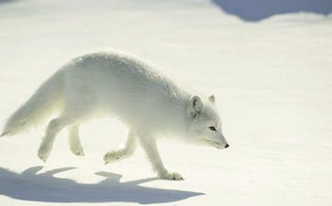 ��؂�͞��f�m(x��)������