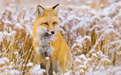 ��؂�ı�������