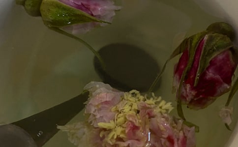 ���l(xi��ng)�Ĺ𻨲胞(y��u)�����ķ��ģ�ͨ��3ƪ��