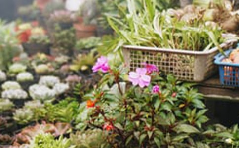 ��(li��n)�W(w��ng)���ꄓ(chu��ng)��(chu��ng)�I(y��)Ӌ������ͨ��5ƪ��