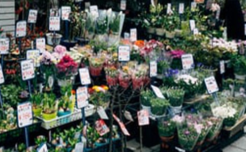 ���ꄓ(chu��ng)�I(y��)�߄���