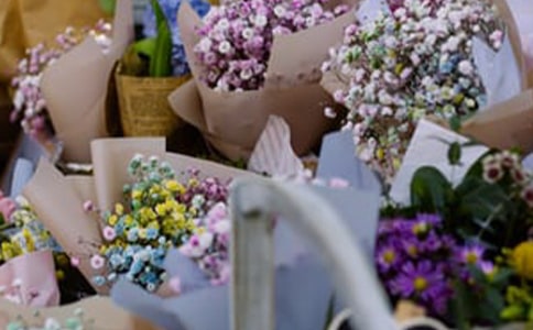 ���ꄓ(chu��ng)�I(y��)Ӌ(j��)����15ƪ(��(y��u))