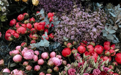 �o(w��)���A(ch��)�_(k��i)�����\(y��n)�I(y��ng)���������x6ƪ��