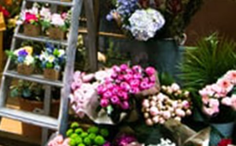 �W(w��ng)���r���ꄓ(chu��ng)�I(y��)Ӌ(j��)���������x14ƪ��