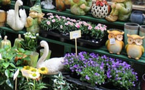 花店創(chuàng)業(yè)計(jì)劃書大全(15篇)