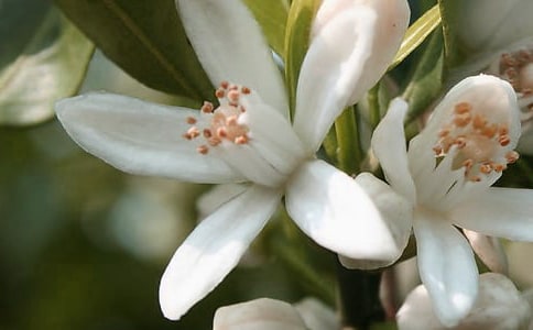 �_(k��i)��ӛ����̎�Ļ�������(15ƪ)