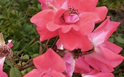 2025�����ݻ���ľ���26��