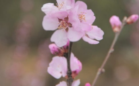 ���ݻ���ľ���19�l