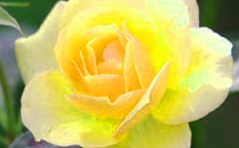 �_��ӛ����̎�Ļ��䃞(y��u)������