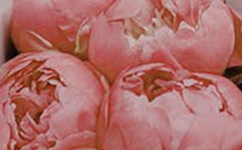 ���ݻ���ľ��Ӽ��\33�l