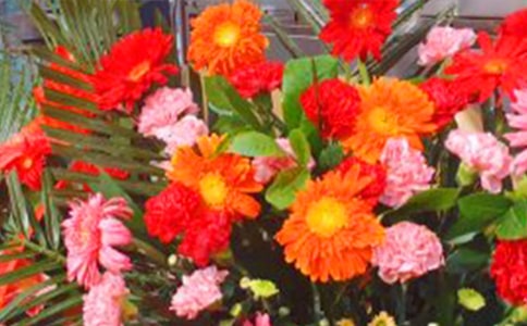 大班體育游戲編花籃教案