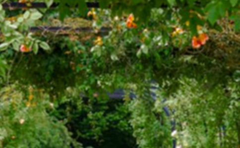 ���@�ҵĘ��@����