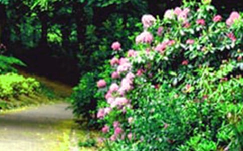 ���J���@�Ԍm����