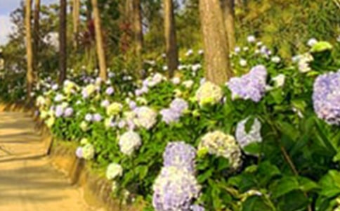 ���˵Ļ��@����