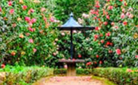 �ҵĻ��@��(y��u)������