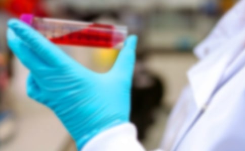 ���л��W���|�����̰�����