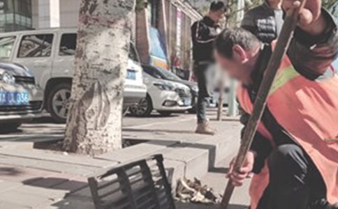 環(huán)衛(wèi)工作計(jì)劃7篇