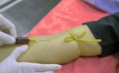 ����Ո�ٗl