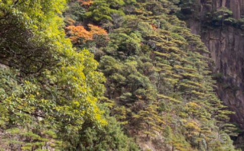 �Sɽ��ӛ����(��(y��u)��)