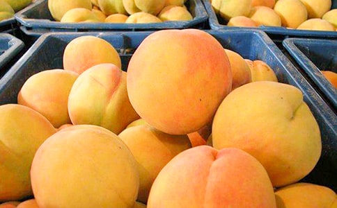 �S�҃�(y��u)������