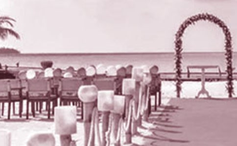 ��(��i)���Y����