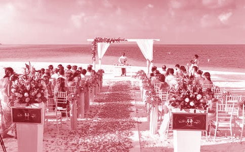 �茑��Y�F(xi��n)��������ܰ�ľ����ղ�