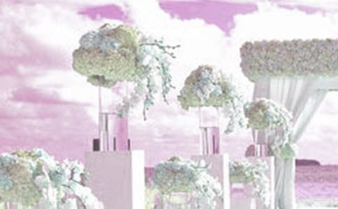 五一勞動節(jié)婚禮主持詞