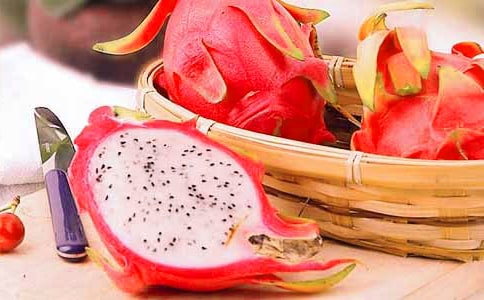 火龍果小學(xué)生作文9篇