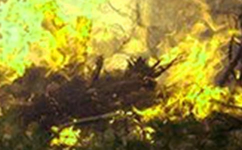 火災(zāi)防控工作總結(jié)