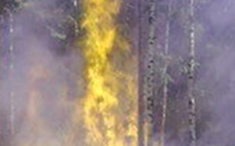 火災(zāi)防控工作情況報告