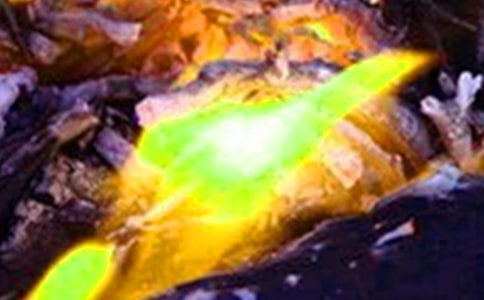 �l(xi��ng)�(zh��n)���(z��i)���ع������Y(ji��)