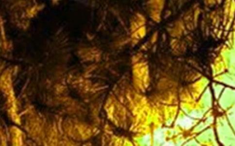 火災(zāi)救援對環(huán)境保護(hù)的影響