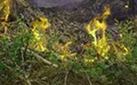 ���(z��i)���ع����R��(b��o) 